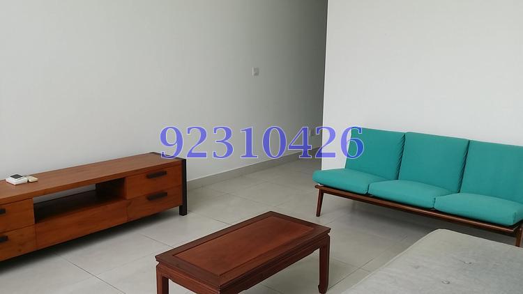 The Rochester Residences (D5), Apartment #99366612